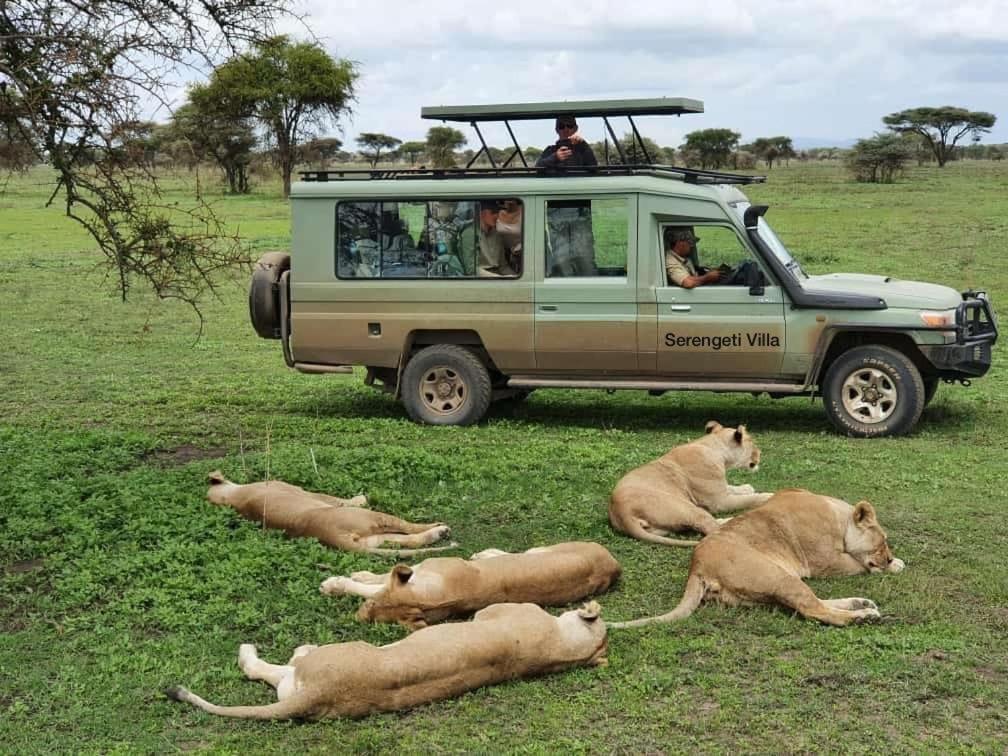 Serengeti Villa Arusha Eksteriør bilde